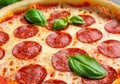 Pepperoni pizza garnished with basil leaves Royalty Free Stock Photo